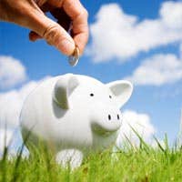 A hand putting a coin in a white piggy bank that is standing on the grass.
