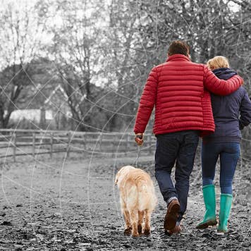 An older couple walks with their dog