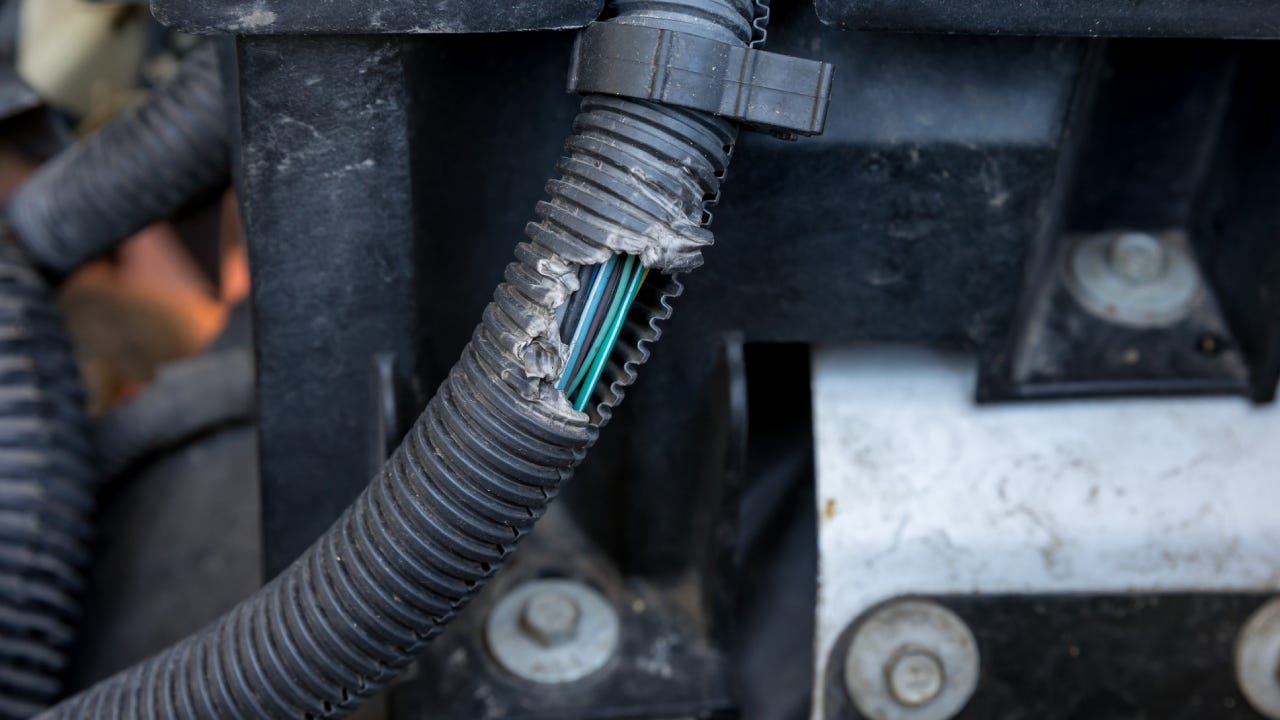 car engine electrical wiring harness damage from chewing rodent