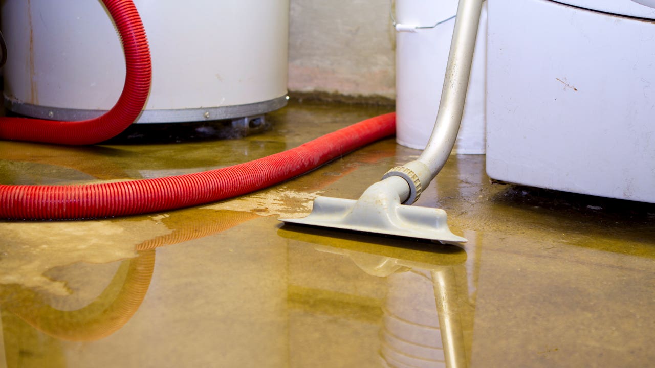 Cleaning up a blooded basement