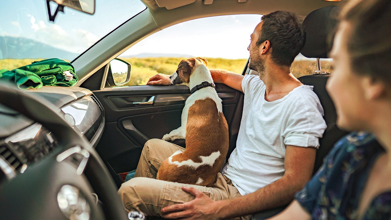 Photo of a young couple and their dog riding in a car on a bright summer day.