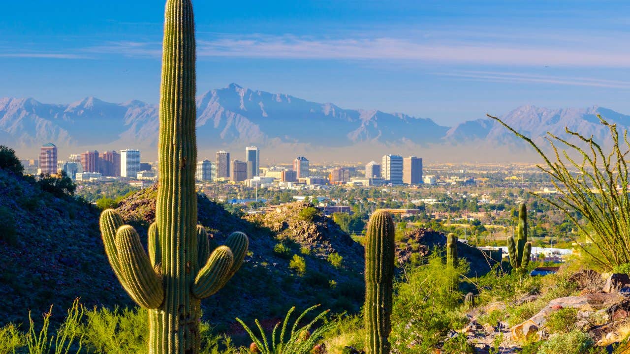 Midtown Phoenix skyline with cacti, mountains, and other desert scenery in the foreground.