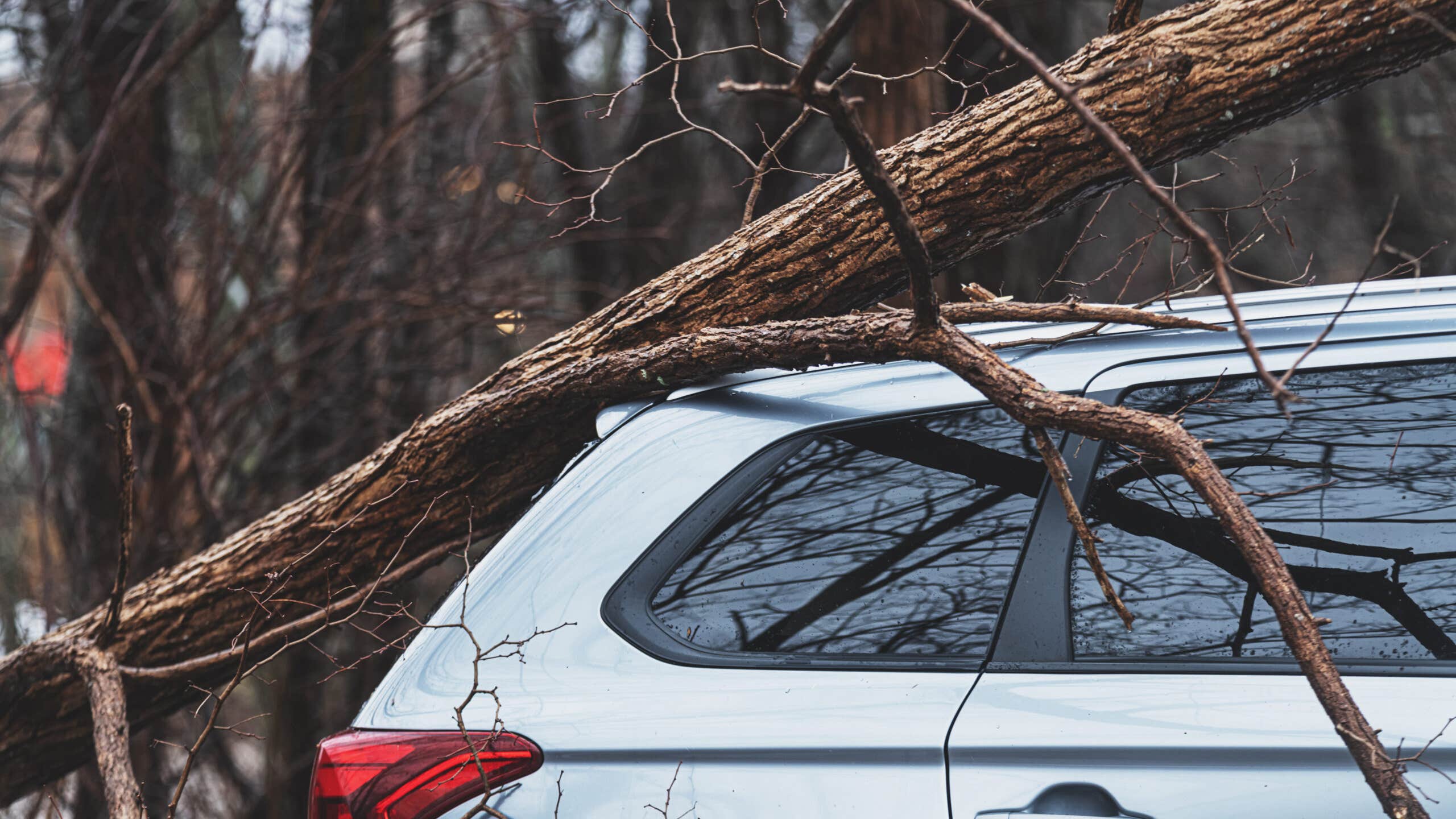 Silver car with tree branch damage