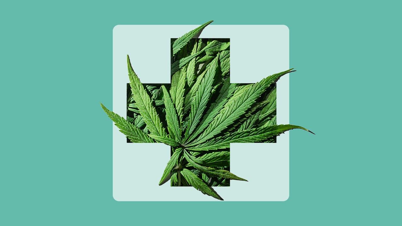 marijuana plant within a cross indicating medical marijuana