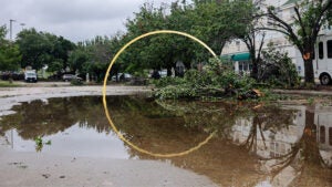 Flooded homes
