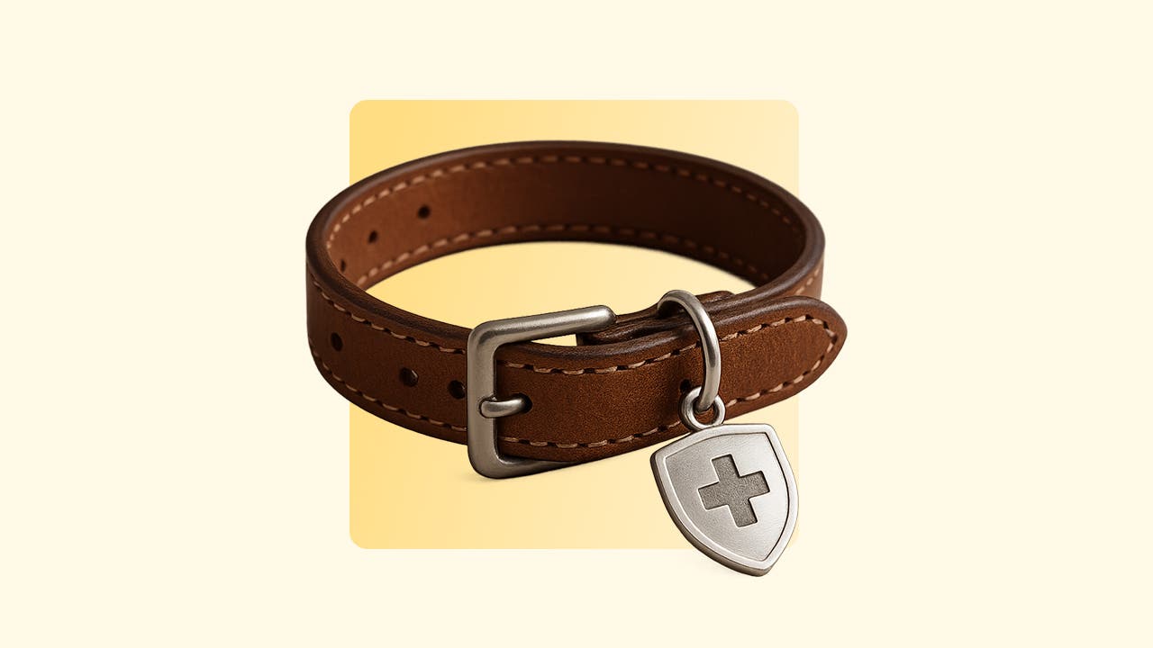 Dog collar