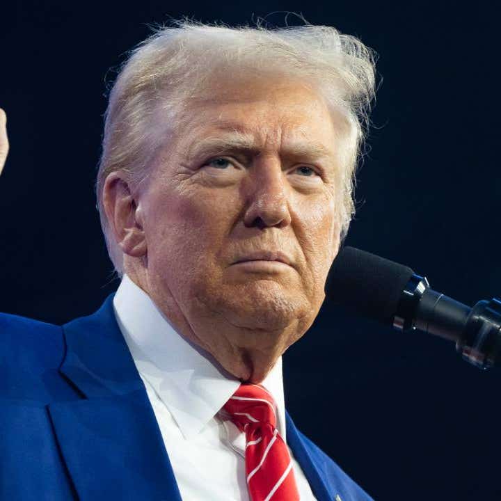 President-elect Donald Trump raises his fist while speaking.