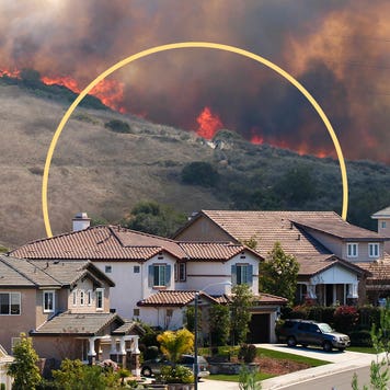 Wildfire