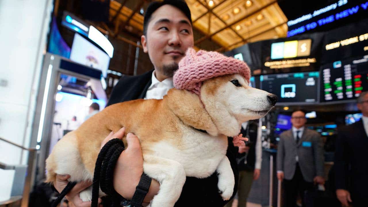 Achi (the dog from the famous dogwifhat meme) is seen at the opening bell of the New York Stock Exchange in New York, on January 23, 2025. Dogwifhat (WIF) is a Solana-based dog-themed memecoin that was launched in November 2023. It features a Shiba Inu wearing a knitted hat as its mascot.