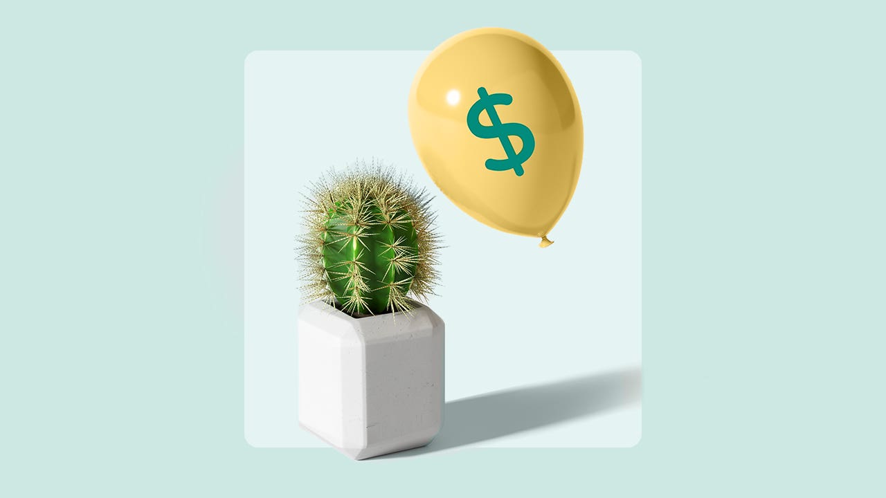 A balloon with a dollar sign on it hovers dangerously close to a cactus.