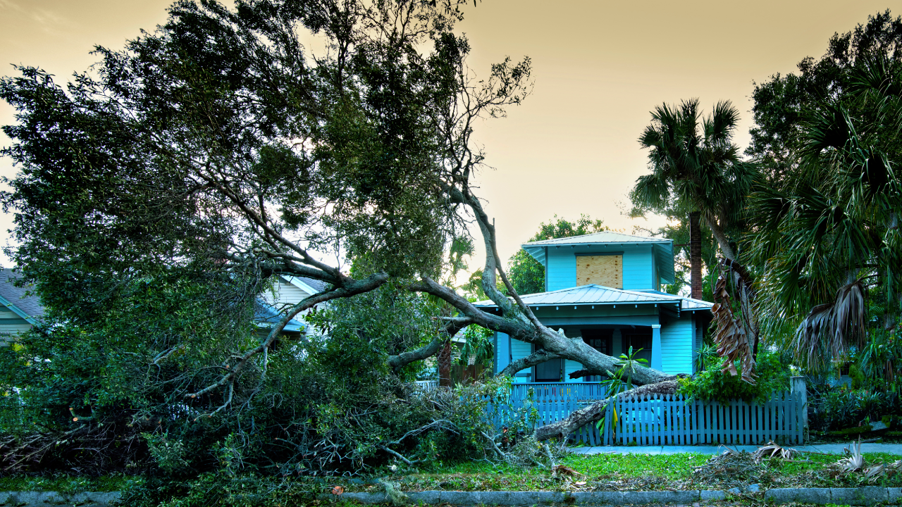 Hurricane-related tax relief